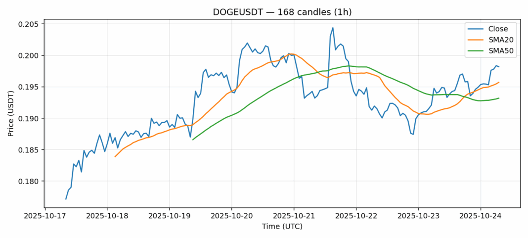 DOGEUSDT chart