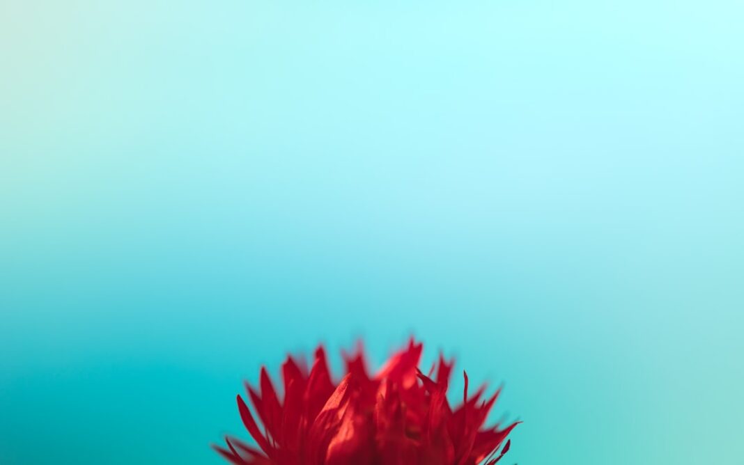 Unsplash image